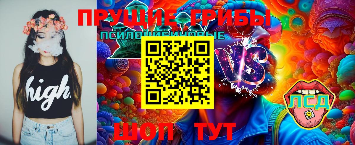 Псилоцибиновые грибы ЛСД Коломна